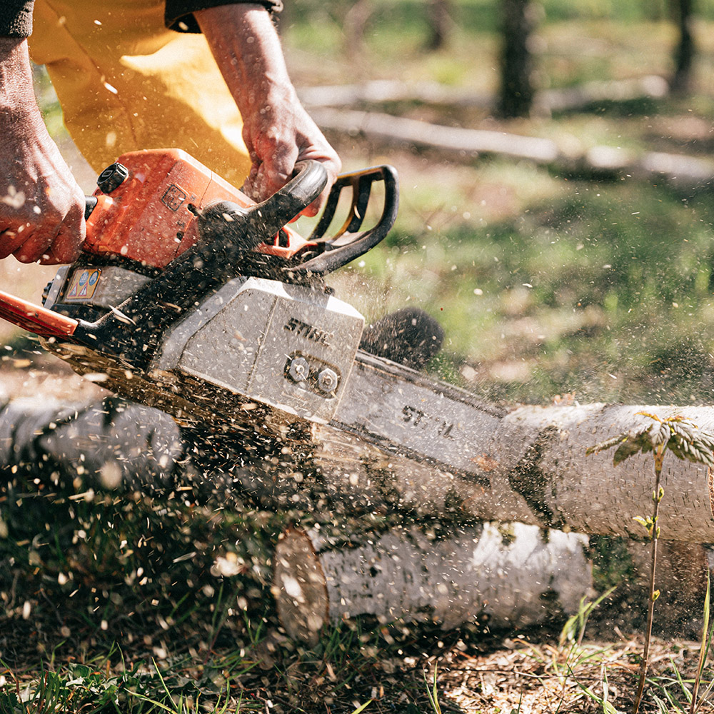 Gardening Web Design